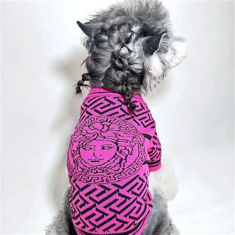 versace dog collar ebay|Versace dog robe.